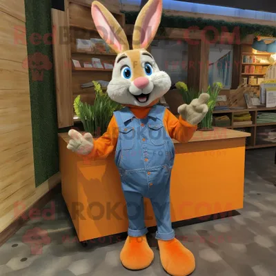 Obrázek produktu pro Postava REDBROKOLY maskota oranžového králíka oblečená v košili a botách Chambray