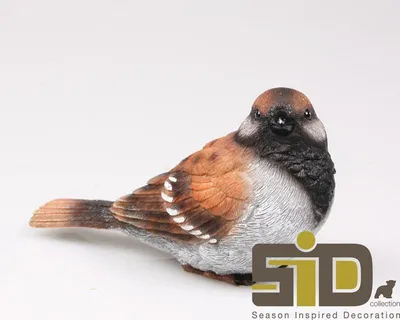 Produktbild von Massenmarkt Vogelspatz