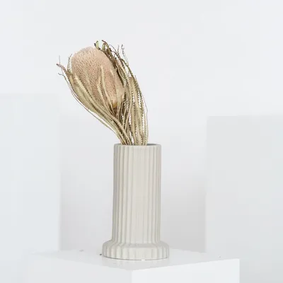 Obrázok produktu pre Banksia - Sušená kvetina (cca 30cm) - Exotický kvet protea v prírodnej alebo