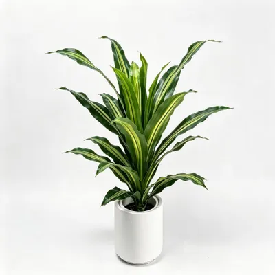 Produktbild von Künstliche Dracena Fragrans, 98 cm - Gelb - Realistische Zimmerpflanze für Zuhause, Büro und Terrasse, pflegeleicht