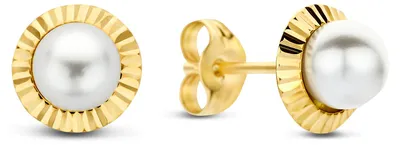 Produktbild von New Bling Oorknopjes – 9NBG-1079 – 14K Goud – Parel – 4 mm