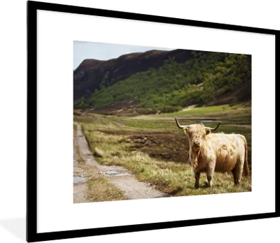 Produktbild von MuchoWow® Gerahmtes Poster Schottische Highlander - Pfad - Wald 80x60 cm - Poster mit Schwarzem Bilderrahmen Wandposter Rahmen Foto Bilder - Schlafzimmer-Dekorationen - Fotoposter