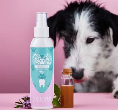 Produktbild von TIERLIEBHABER - Dentalspray 150ml für Hunde & Katzen entfernt Zahnbelag – Zahnpflege Spray zur Vorbeugung von Zahnbelag – Bürstenfreie Zahnreinigung