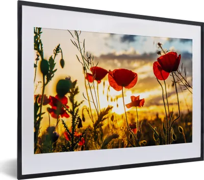 Produktbild von MuchoWow® MuchoWow® Gerahmtes Poster Rote Mohnblumen bei Sonnenaufgang 40x30 cm - Poster mit zchwarzem Bilderrahmen - Bilderrahmen - Poster im Rahmen