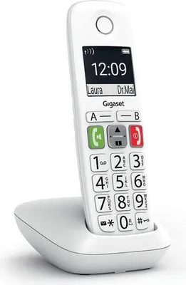 Image de Téléphone Fixe GIGASET E290 Blanc, Grand écran, Touches larges, Mode Audio Boost, Répertoire 150 contacts