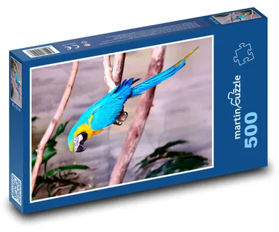 Obrázek produktu pro martinpuzzle - Puzzle 500 - Popoušek