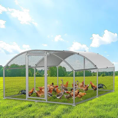Imagen del producto de Jaula exterior para gallinas - Jaula para gallinas - Jaula para animales - Jaula para conejos - Pequeño refugio para animales