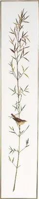 Produktbild von Eva Rosenstand Kreuzstich Set "Schilfrohrsänger", Zählmuster, 25x136cm