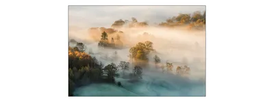Produktbild von Muralo Fototapete Wald im Nebel 90 (B) x 60 (H) cm Vlies Tapete Wandtapeten Bäume Wohnzimmer Schlafzimmer moderne Wandbilder XXL Landschaft Panorama Wand Dekoration