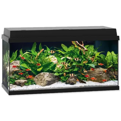 Produktbild von Juwel Primo 110 schwarz - Aquarium Juwel