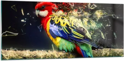 Produktbild von Bilder auf glas - Papagei Vogel Feder - 120x50cm - Glasbilder - Wandbilder - Kunstdruck - zum Aufhängen bereit - Wanddekoration aus Glas - Glas Bilder - Wandbild auf Glas - Einteilig - GAB120x50-3682