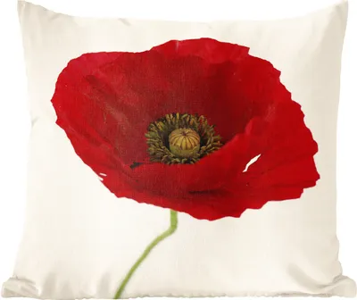 Produktbild von MuchoWow® Zierkissen Sofakissen Wohnzimmer Dekokissen 50x50 cm Nahaufnahme einer roten Mohnblume - Komfort - Sofakissen