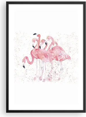 Produktbild von Gerahmtes Poster - Schwarzer Rahmen - Flamingo Vogel Wasser - 50x70 cm - Wand Bild - Wanddeko - Wandbilder - Kunstposter - Wandposter - Bilderrahmen - Bilder - Kunstdruck - Wandbild - P2BPA50x70-3899