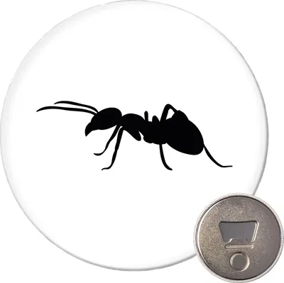 Produktbild von Huuraa Magnet Ameise Silhouette 59mm Kühlschrankmagnet rund Flaschenöffner Geschenkidee