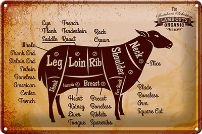 Produktbild von Blechschild Lamm 30x20cm Lamb cuts Organic Metzgerei