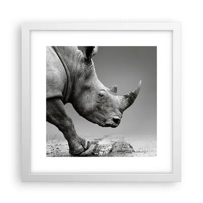 Produktbild von Gerahmtes Poster - Weißer Rahmen - Nashorn Monochrom Tier - 30x30 cm - Wand Bild - Wanddeko - Wandbilder - Kunstposter - Wandposter - Bilderrahmen - Bilder - Kunstdruck - P2WAC30x30-4954