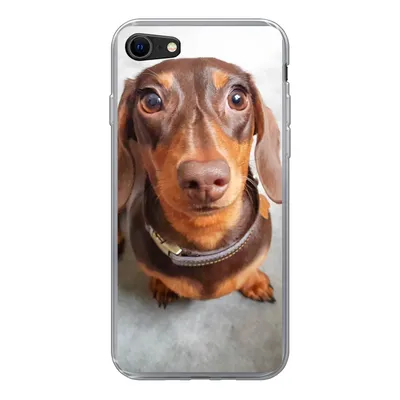 Produktbild von MuchoWow® Handyhülle Schutzhülle Hülle für iPhone SE 2022 Nahaufnahme des Kopfes eines Dackels Silikon Softcase Handy Hülle - Schutzhülle