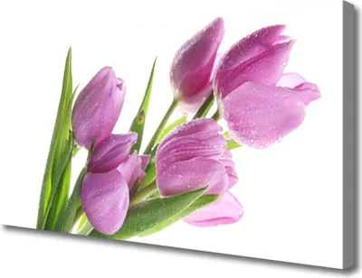 Produktbild von Tulup Leinwand-Bilder 100x50 Wandbild Canvas Kunstdruck Tulpen Pflanzen