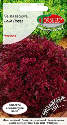Produktbild von Saatgut Blattsalat (Feldanbau) Lollo Rossa 0.5g - Torseed