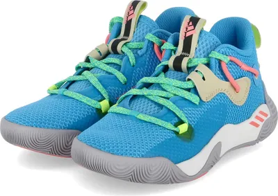 A pair of blue Adidas basketball shoes.