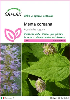 Immagine prodotto di SAFLAX - Menta coreana - 1200 semi - Agastache