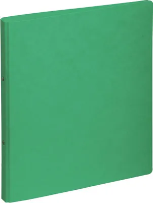 Image de PAGNA classeur à anneaux A4 16mm presspan 2 anneaux vert