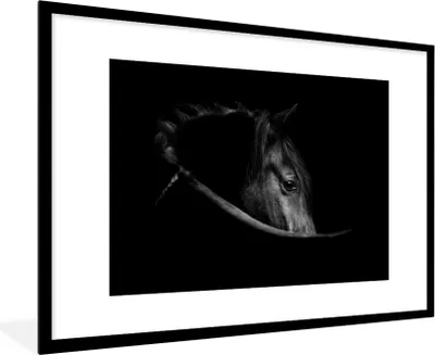 Produktbild von MuchoWow® Gerahmtes Poster Pferde - Porträt - Schwarz - Tiere 90x60 cm - Poster mit Schwarzem Bilderrahmen Wandposter Rahmen Foto Bilder - Wanddekoration - Fotos