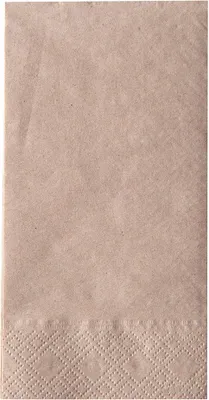 Immagine prodotto di NATUREStar 30542Servietten Nature 33 x 33 cm 2-lagig 1/8-Falz natur Recyclingpapier -Recycled