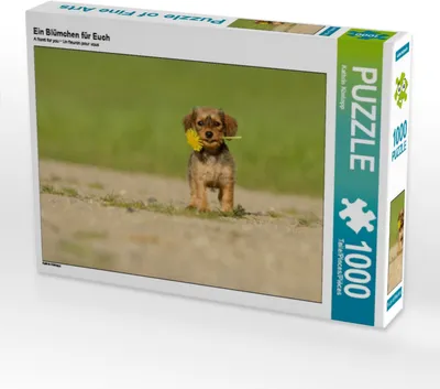 Produktbild von Calvendo Ein Blümchen für Euch 1000 Teile Puzzle quer 640x480mm, Köntopp Kathrin; 7403409