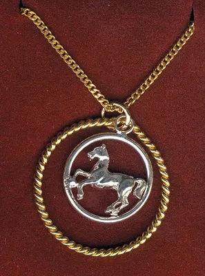 Produktbild von Halskette, Pferd mit 2 Ringen