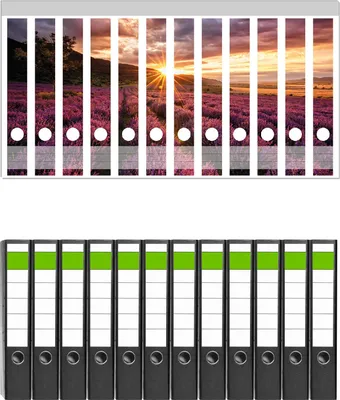Produktbild von Wallario 12 Stück schmale Ordner inkl. Klebeetiketten mit Motive Lavendelfeld bei Sonnenuntergang - Sonnenstrahlen -  Set mit Rückenschildern / Ordnerrücken Stickern