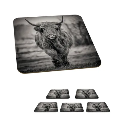 Produktbild von KitchenYeah® Glasuntersetzer Quadratisch 6er Set Schottisches Hochlandrind - Porträt - Schwarz und Weiß 10x10 cm Untersetzer für Gläser - Getränkeuntersetzer - Tischplattenschutz - Tischuntersetzer f