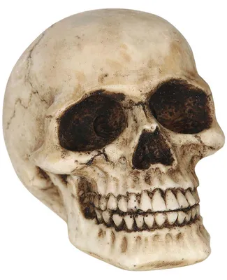 Produktbild von Kleiner Totenkopf als Halloween Deko 8cm