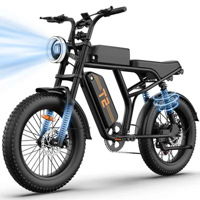 Image de VTT électrique pour adultes, modèle T2 Retro, roues de 20 pouces, adapté à tous types de terrains, moteur de 250W, batterie amovible 48V 15,6Ah, vitesse maximale de 25 km/h, charge maximale de 120 kg