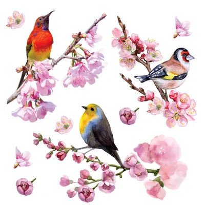 Produktbild von Sanders & Sanders Wandtattoo Blumen und Vögel Rosa 30 x 30 cm
