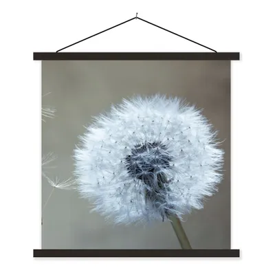 Produktbild von MuchoWow® Textilposter Löwenzahn - Blume - Pflanze 60x60 cm mit schwarzem Rahmen - Posteraufhänger
