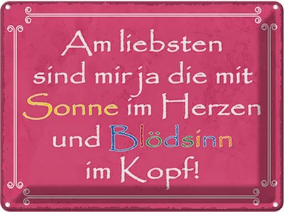 Produktbild von vianmo Blechschild 30x40 cm am liebsten sind die mit Sonne Spruch Zitat