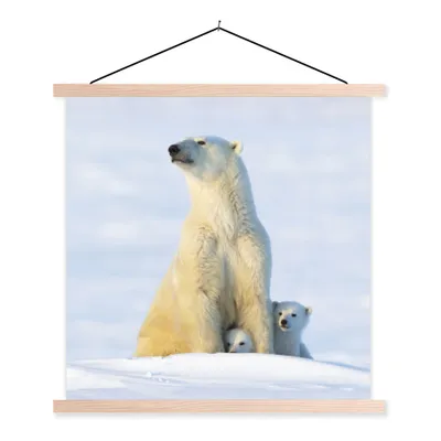 Produktbild von MuchoWow® Textilposter Eisbär - Schnee - Jungtiere 40x40 cm mit holzfarbenen Rahmen - Posterleiste