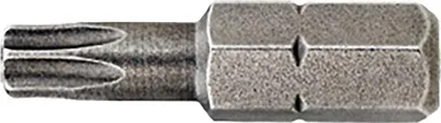 Produktbild von DeWalt Torsion Bit T30 25 mm 20Stk