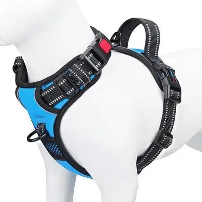 Produktbild von Famanu Hundegeschirr mit reflektierendem Frontclip - Verstellbar und leicht anzulegen - Blau