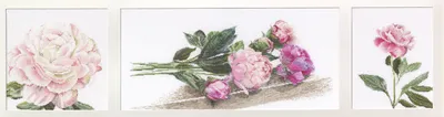 Produktbild von Thea Gouverneur Gezählter Kreuzstich Kit "Pivoines Aïda", 82x20cm