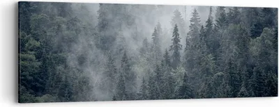 Produktbild von Bild auf Leinwand - Leinwandbild - Wald Baum Natur - 90x30cm - Wand Bild - Wanddeko - Wandbilder - Leinwanddruck - Bilder - Kunstdruck - Wanddekoration - Leinwand bilder - Wandkunst - AB90x30-4074