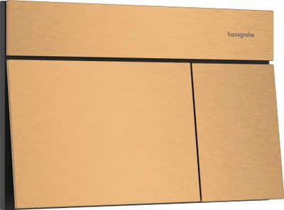Produktbild von HANSGROHE 66003140 Betätigungsplatte iFrame Element E