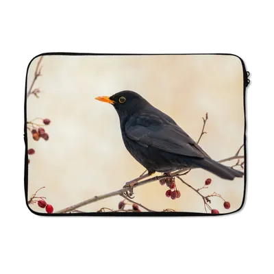Produktbild von MuchoWow® Laptop Hülle 13 Zoll Amsel - Vogel - Zweige - Beere - Rot Laptoptasche - Laptophülle - Sleeve - Rundumschutz