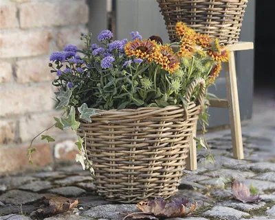 Image de Panier à plantes "Spaltrattan" Ø 35x25 cm grand, en rotin, rond, pot de fleurs, pot de plantes, pot de plantes pour l'extérieur, pot de fleurs