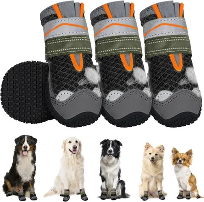 Image de Bottes pour chiens : protection pour les coussinets des pattes avec bandes réfléchissantes