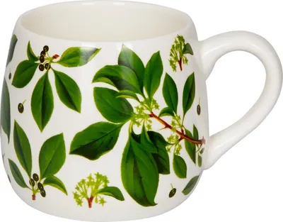 Produktbild von Porzellan Tasse Botanik Augustina