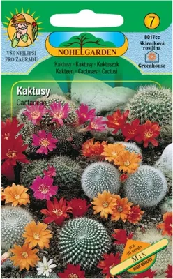 Zdjęcie produktu dla Kaktusy, mieszanka