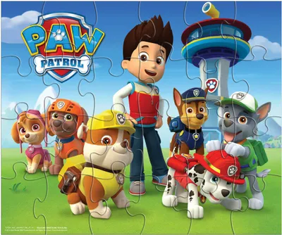 A group of Paw Patrol characters, including Ryder and several pups, are gathered together in a grassy outdoor setting with a tower in the background.