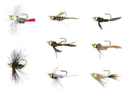 Produktbild von Balzer Edition Fly Goldkopfnymphen-Sortiment - 8 Fliegen im Set